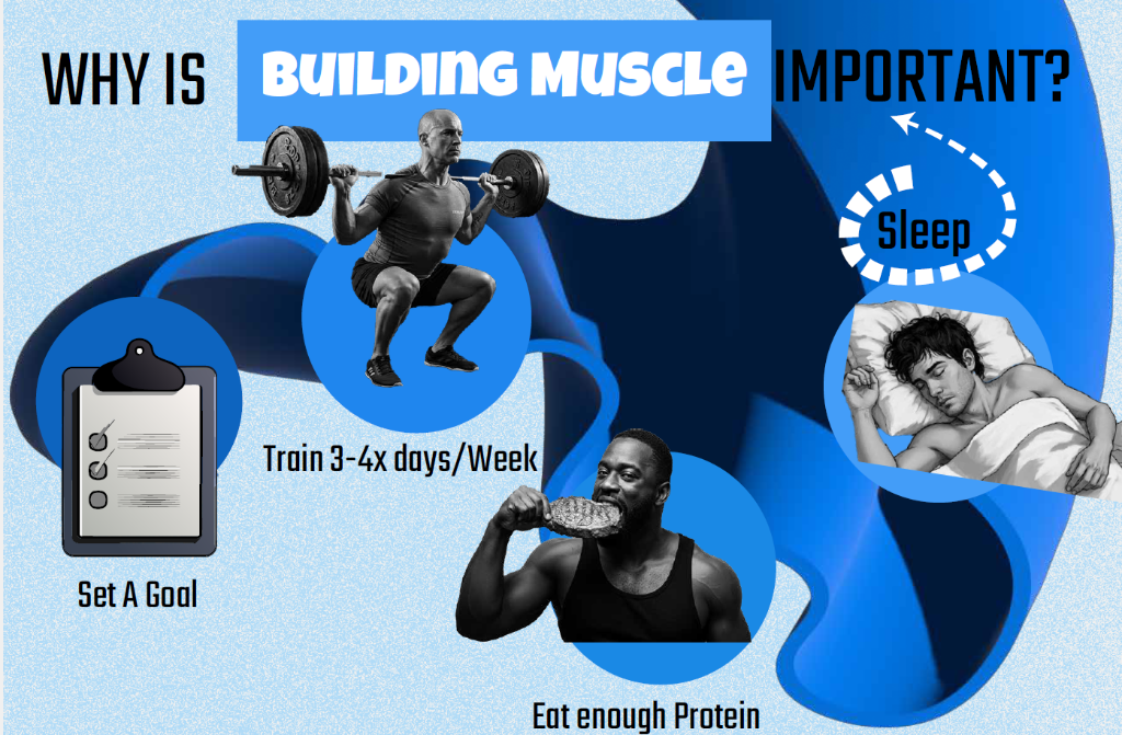 Build Muscle
